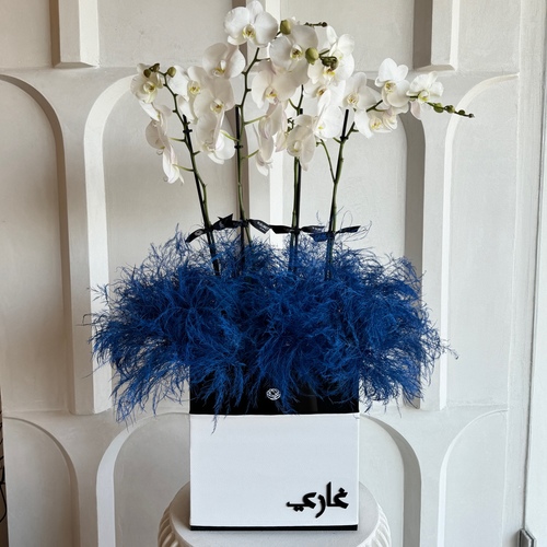 Royal Blue - 2 white orchids in a tall black rectangle box with white leather 
 *Write the desired name in the message box 
 L 30cm * H 95cm*Flower kind and color may slightly
differ based on availability.