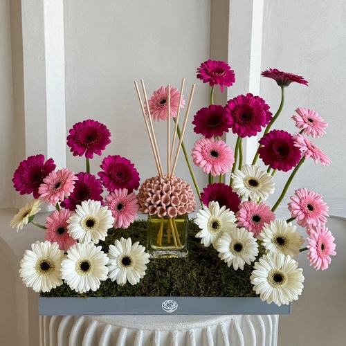 Ombré - An ombré of gerberas with Riccio Caprese diffuser (200ml shown in picture) *Flower color and kind may slightly differ based on availability