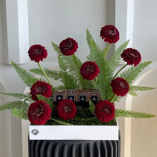 Gerbera love - A white tray with gerberas and chocolate 
 *Flowers type and color may change based on availability