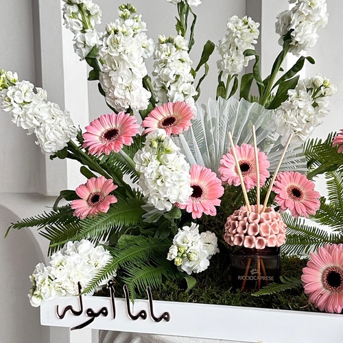 فيري فانز I
