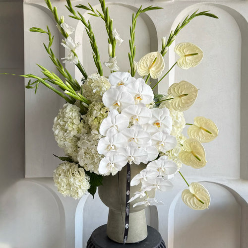 Pure in white - An arrangement of anthuriums, gladiolus, orchids and hydrangeas in a tall cement vase H 85cm W 65 *flower colors and kind may differ slightly based on availability