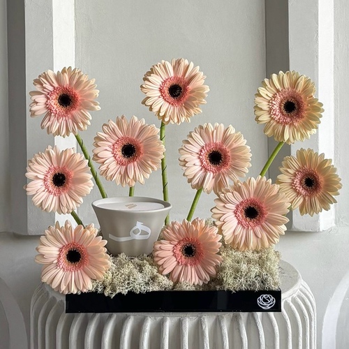 Candlelight - An arrangement of gerberas with 12cm Shamaa candle *write the desired name in the message box L 30cm *Flower colors or kind may slightly differ based on availability