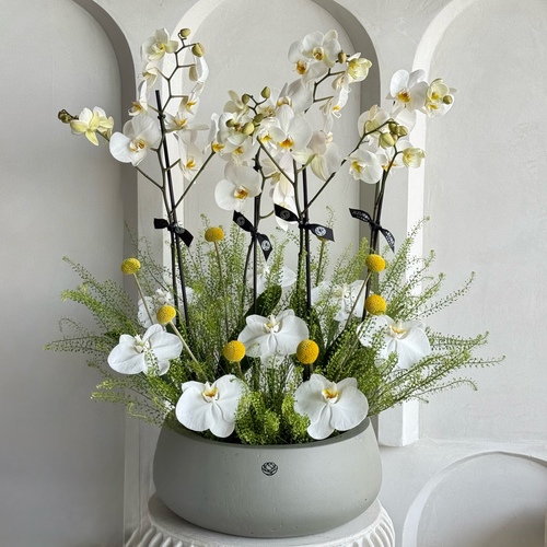 My sunshine - 2 orchids arranged with flowers in a round sandstone pot*Flower kind and color may slightly
differ based on availability.