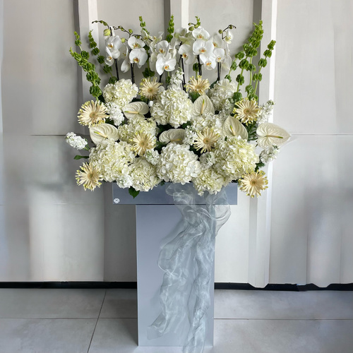 Mesh love - An arrangement of phalaenopsis plants, hydrangeas, gerberas and anthuriums in a metallic tray with a stand and silver net *H 170cm * Flower color and kind may slightly differ based on availability