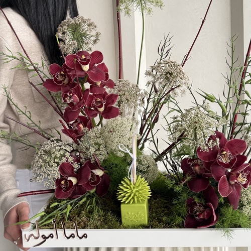 ماي هارتبيت II