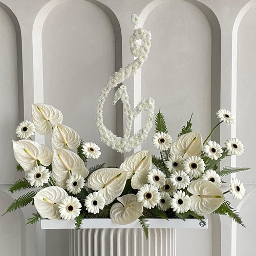 White muse