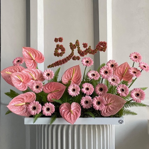 Pink muse