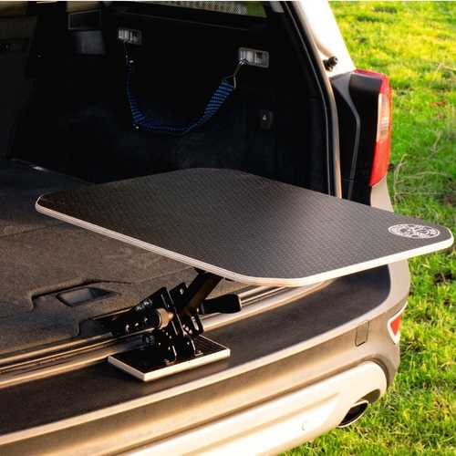 Car Picnic Table