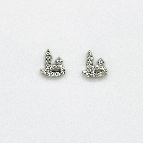 925 Sterling silver earrings