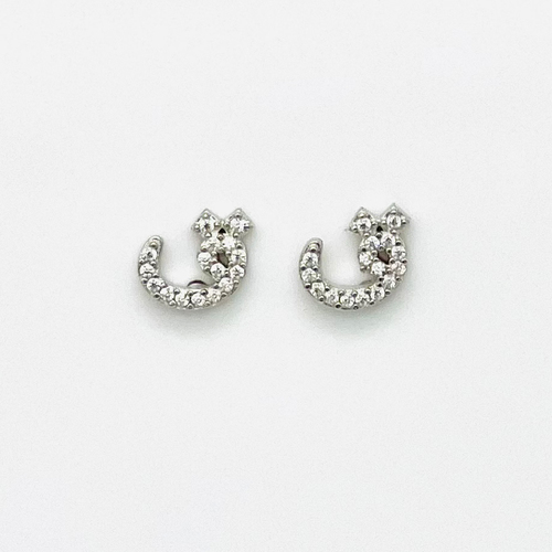 925 Sterling silver earrings