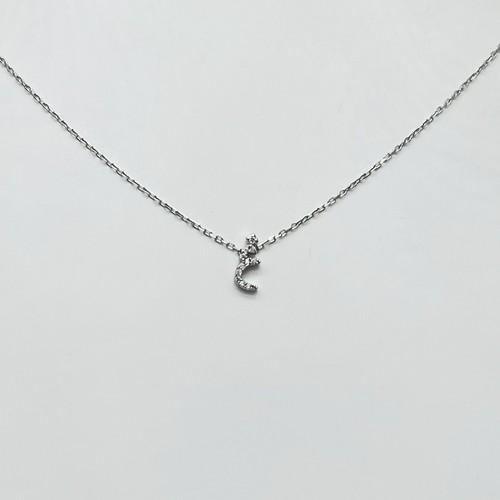 925 Sterling Silver Necklace