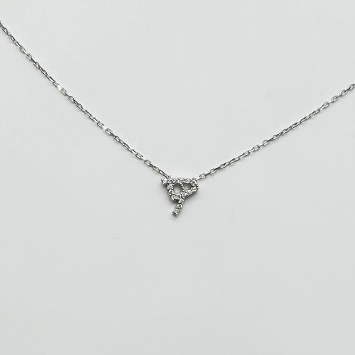 925 Sterling Silver Necklace