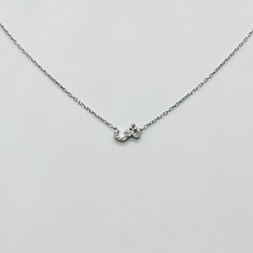 925 Sterling Silver Necklace