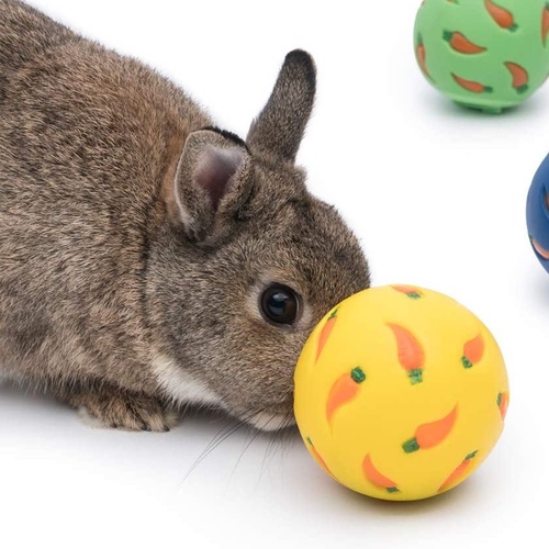 treat ball