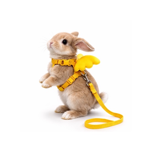 Rabbit Harness & Leash Set - Rabbit Harness & Leash Set 
 A comfortable and secure harness specially designed for rabbits, allowing safe outdoor walks and supervised activities. Features a cute wing design that gives your rabbit an adorable look while ensuring balanced pressure and comfort. 
 Features: 

Comfortable and secure design
Adjustable straps for different sizes
Lightweight and pet-friendly material
Soft decorative wing design
Strong safety buckle
Includes durable leash for easy control

 
 Suitable for rabbits and small pets