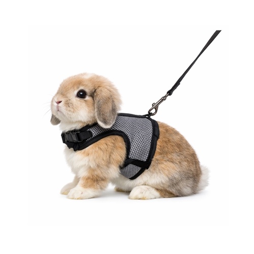 Rabbit Harness & Leash Set - Rabbit Harness & Leash Set


A comfortable and secure harness specially designed for rabbits, allowing safe outdoor walks and supervised activities.
Features a cute wing design that gives your rabbit an adorable look while ensuring balanced pressure and comfort.


Features:



Comfortable and secure design
Adjustable straps for different sizes
Lightweight and pet-friendly material
Soft decorative wing design
Strong safety buckle
Includes durable leash for easy control





Suitable for rabbits and small pets