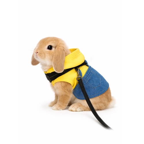 Rabbit Harness & Leash Set - Rabbit Harness & Leash Set


A comfortable and secure harness specially designed for rabbits, allowing safe outdoor walks and supervised activities.
Features a cute wing design that gives your rabbit an adorable look while ensuring balanced pressure and comfort.


Features:



Comfortable and secure design
Adjustable straps for different sizes
Lightweight and pet-friendly material
Soft decorative wing design
Strong safety buckle
Includes durable leash for easy control





Suitable for rabbits and small pets