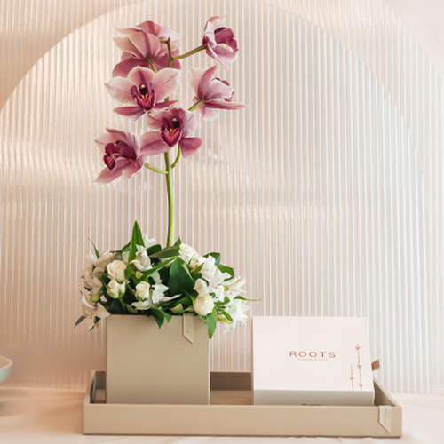 Mix orchid - Truffle hazelnut Fresh flowers Leather box + tray