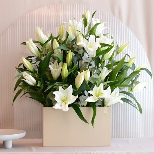 casablancea - Fresh flowers 
Height 60 cm
Width 35 cm