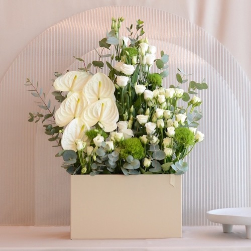 anturium white large box - Fresh flowers 
Height 90 cm
Width 35 cm