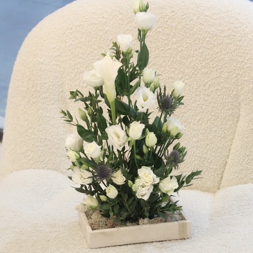 mini aranguim tree - mini travertine tray  fresh flowers