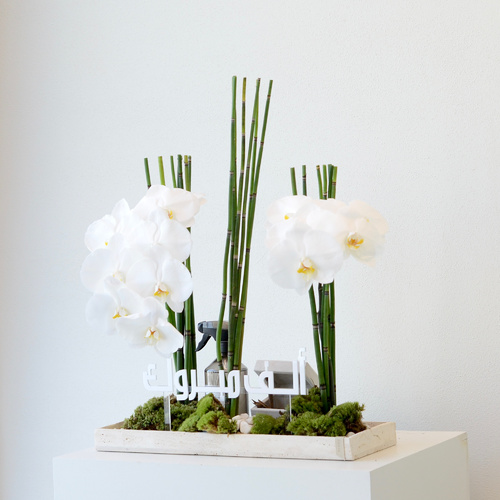 Bamboo Orchid - A travertine tray that contains orchid flowers with super soyofi bukhour and a home spray.