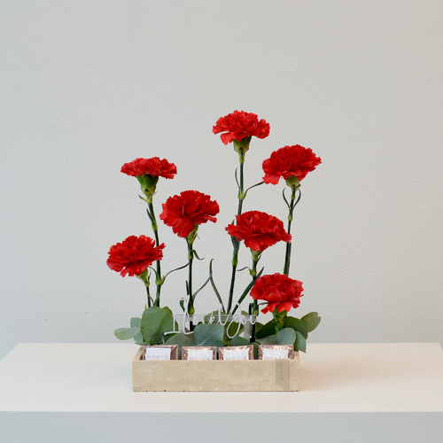 Mini vera - A travertine tray that contains  carnation flowers  with 12 pieces of chocolates