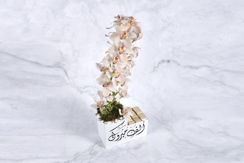 White Mountain - Natural rose
 cacao Choose to write on the box Gift card Width 28 cm x Height 77 cm Approx