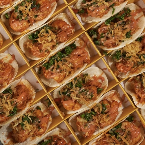 grilled shrimp tacos