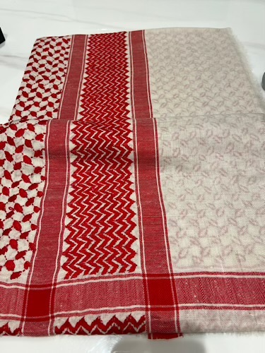 B09-63 - full bashmina,kashmiri,orginal,hand made embroidered