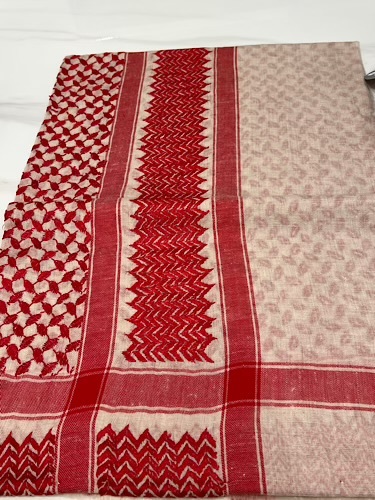 B11-59 - full bashmina,kashmiri,orginal,hand made embroidered