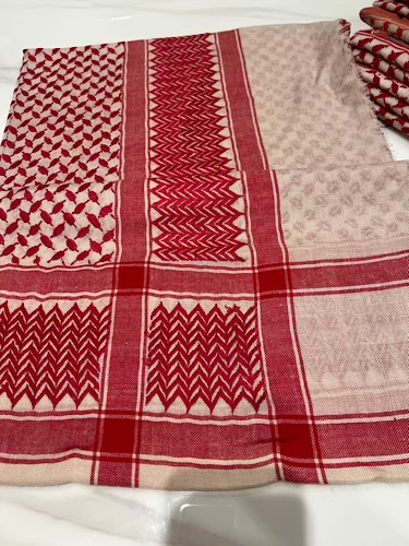 B15-55 - full bashmina,kashmiri,orginal,hand made embroidered