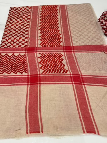 B16-54 - full bashmina,kashmiri,orginal,hand made embroidered