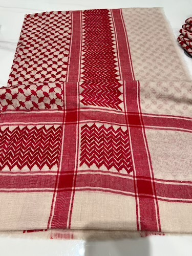 B17-56 - full bashmina,kashmiri,orginal,hand made embroidered