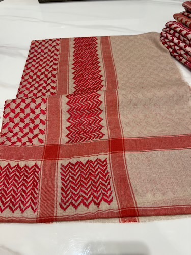 B18-57 - full bashmina,kashmiri,orginal,hand made embroidered