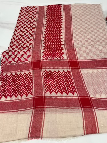 B22-57 - full bashmina,kashmiri,orginal,hand made embroidered