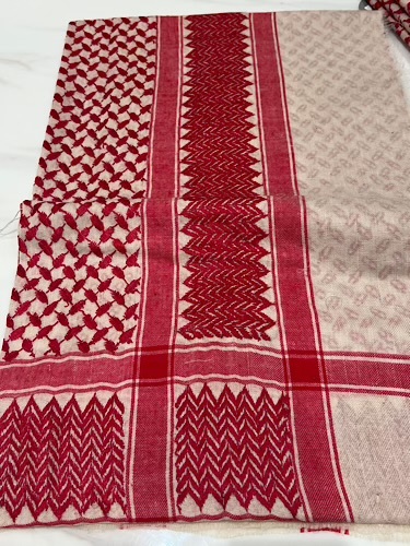 B25-56 - full bashmina,kashmiri,orginal,hand made embroidered