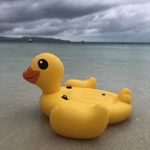 Funky Room - Duck Float - Length (2.2m)