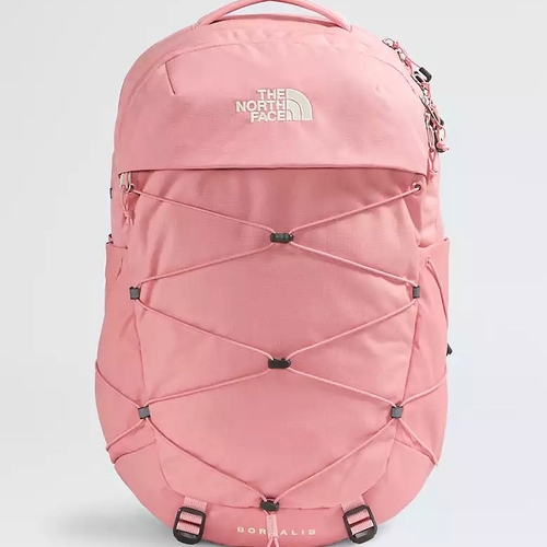 Northface  Backpack