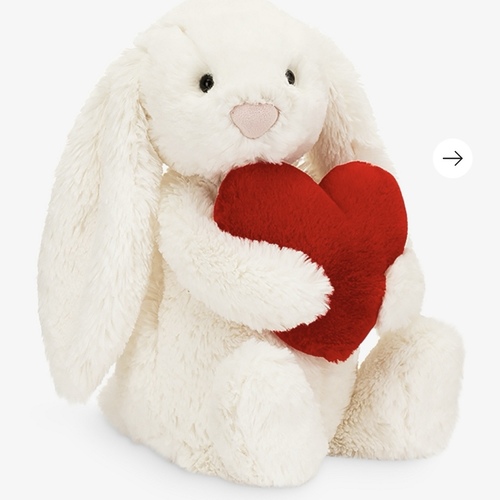 bashfull bunny art