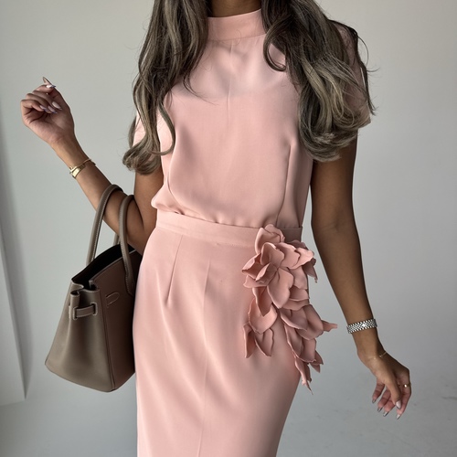 Macaron Rosé