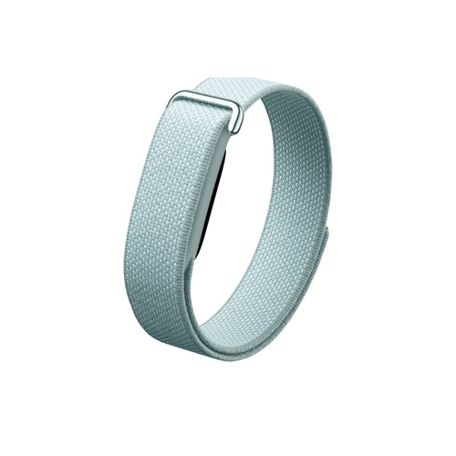 Google Fitbit Air Fog