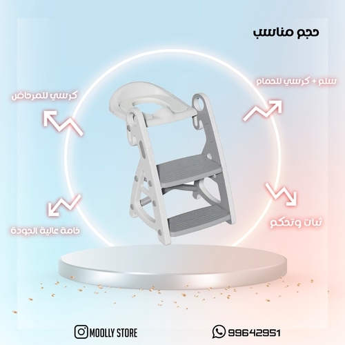 Ladder + bathroom chair