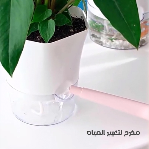 2 in 1 tank for plants and fish