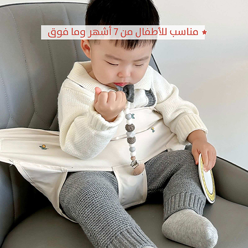 Children's Safety Seat Belt