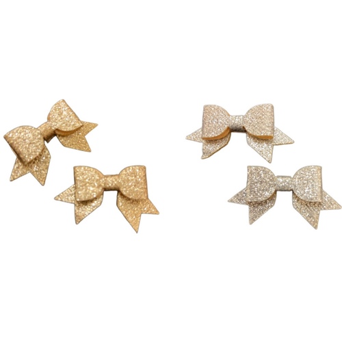 Smal Hair Clips Shiny - Two hair clips shiny, available with two color ( salver or gold)