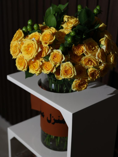 ستاند ترف