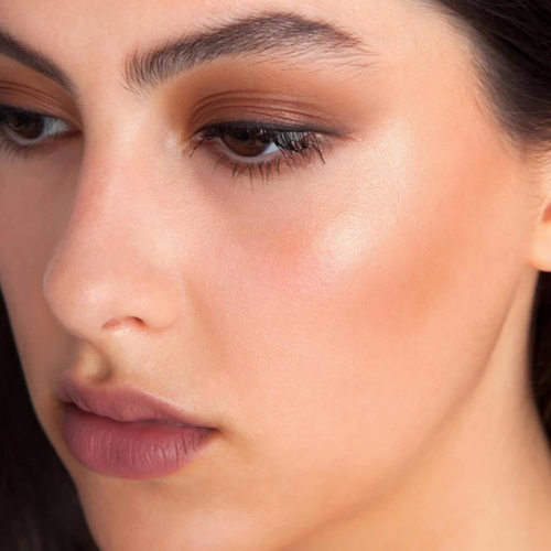 TheBalm cosmetics The Manizer Sisters Palette