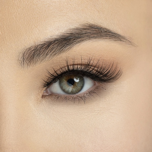 House Of Lashes I Mean