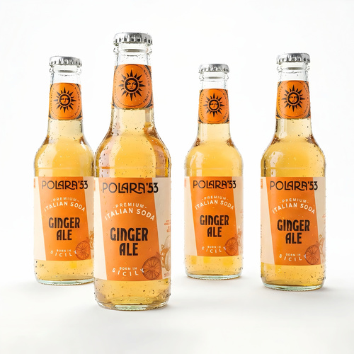Ginger Ale - Pack of 4 * 200 ml